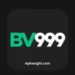 BV999 Game