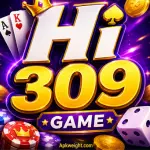 HI309 Game