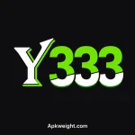 Y333 Game