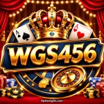 WGS456 Game